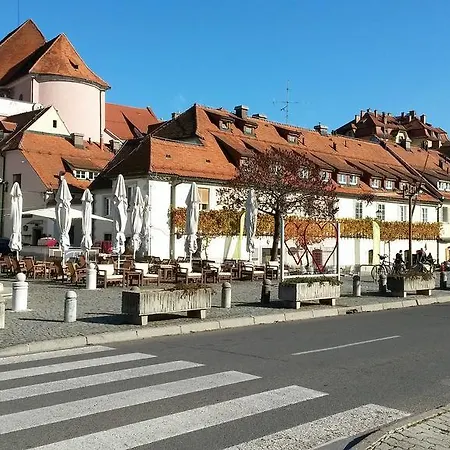 Splavar Maribor